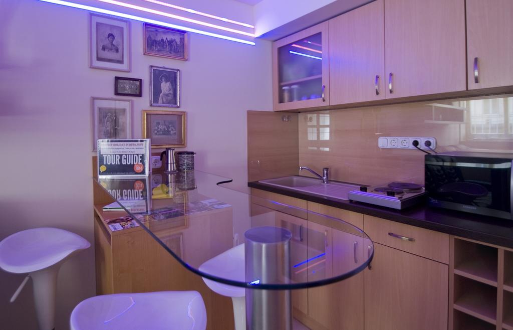 Central Budapest Apartment 객실 사진